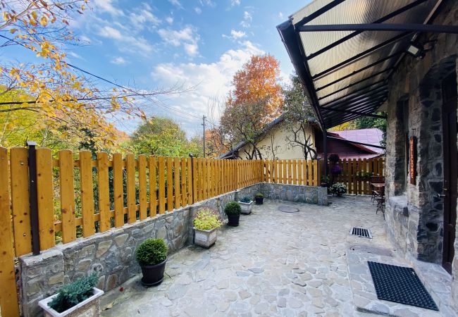 Apartamento en Sinaia - Apartment Carol private yard with barbeque and parking